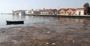 Ο Θερμαϊκός «πνίγηκε» στο υδρόθειο!