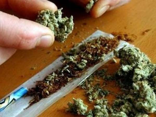 Συλλήψεις για χασίς σε Λακωνία και Κορινθία