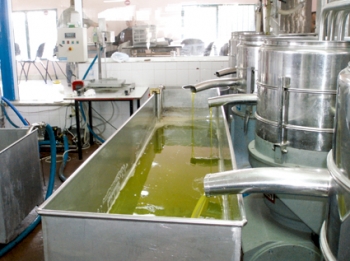 Προτάσεις και δεσμεύσεις για τα αγροτικά της Πελοποννήσου: Τα… πολλά κεράσια και το… μικρό καλάθι