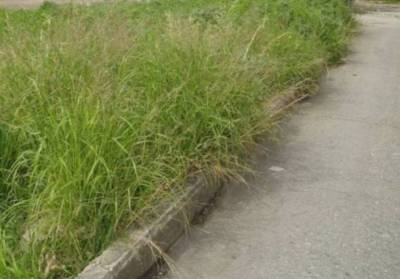 Τοπική Κοινότητα Χαλαζονίου: Σύσταση για τήρηση μέτρων πυροπροστασίας