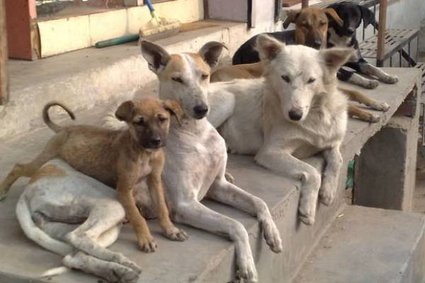 5 κενές θέσεις εργασίας στο Δήμο Τριφυλίας
