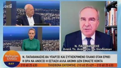Παπαθανάσης: Μέσα στην εβδομάδα η ανακοίνωση των αποφάσεων για το λιανεμπόριο (Βίντεο)