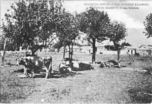 Μια "άλλη" Παραλία