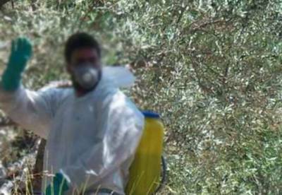 Η φετινή είναι η χειρότερη χρονιά για τη δακοκτονία