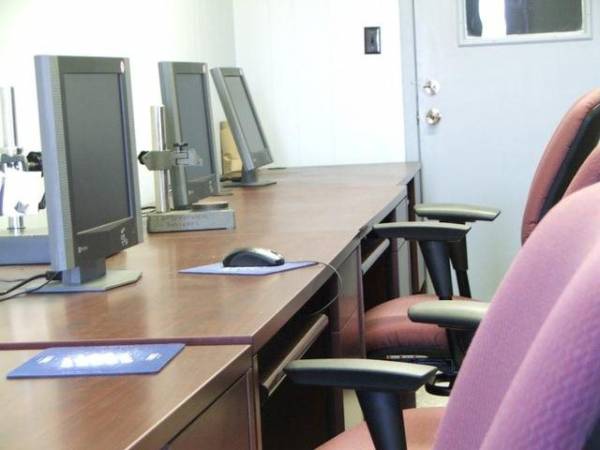 "Τσίμπησαν" άφαντη υπαλληλο στην Καλαμάτα