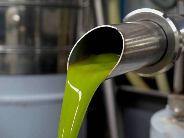 Πλησιάζει τα 9 ευρώ η τιμή του ελαιολάδου - Συνεχίζεται η ανοδική τάση στη Μεσσηνία