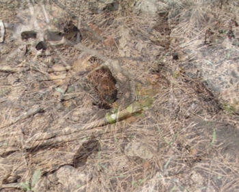 Βρέθηκε σκελετός στο Σταυροπήγιο