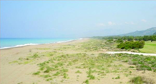 «Μη σύννομη» η διάνοιξη δρόμων στο δίκτυο "Natura" στην Τριφυλία