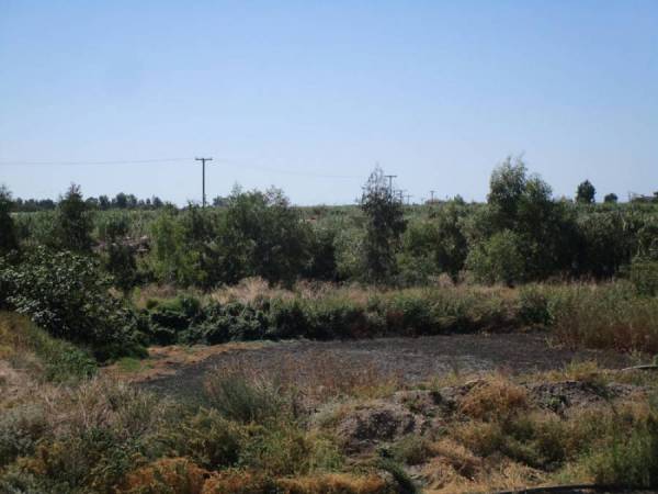 Μελέτη για τις ζημιές από τη λυματολάσπη ζητεί ο Αντωνόπουλος