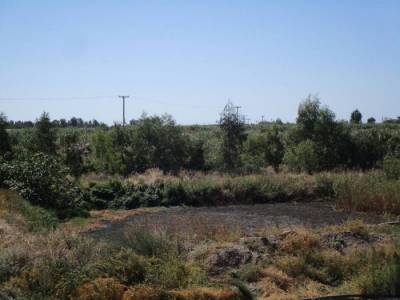 Μελέτη για τις ζημιές από τη λυματολάσπη ζητεί ο Αντωνόπουλος