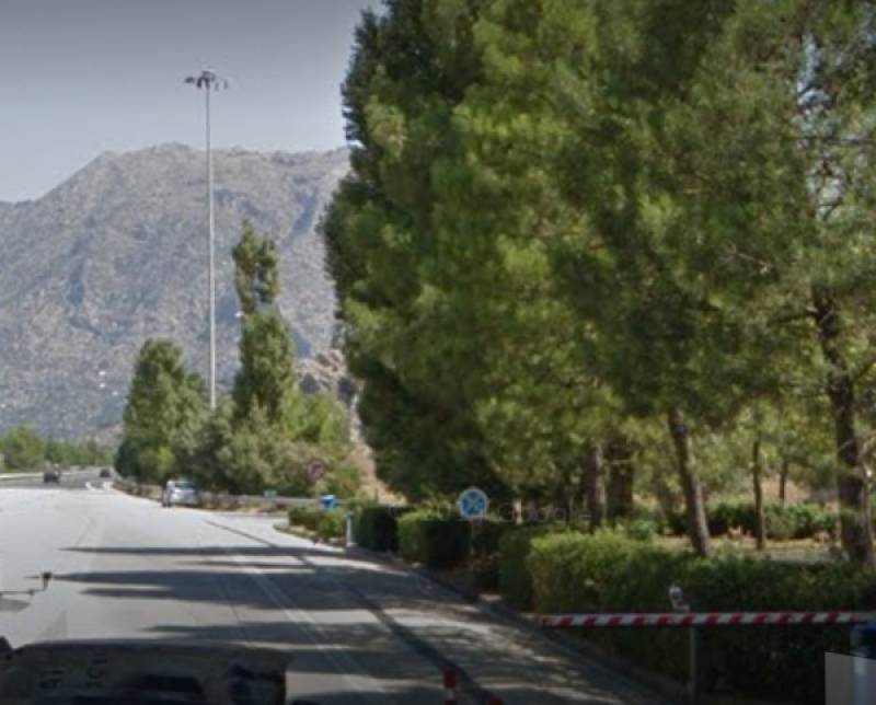 Μουλάρι κυκλοφορούσε στον αυτοκινητόδρομο του “Μορέα”