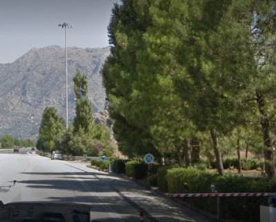 Μουλάρι κυκλοφορούσε στον αυτοκινητόδρομο του “Μορέα”