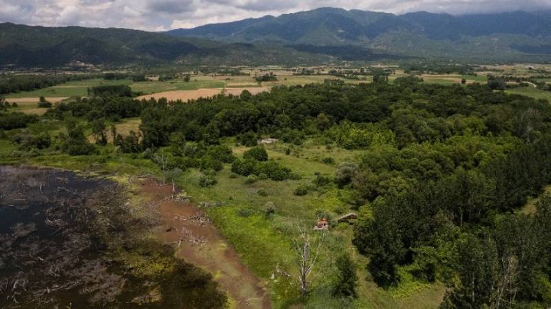 Διατηρητέο μνημείο της φύσης, το Δάσος των Μουριών με αιωνόβια δέντρα