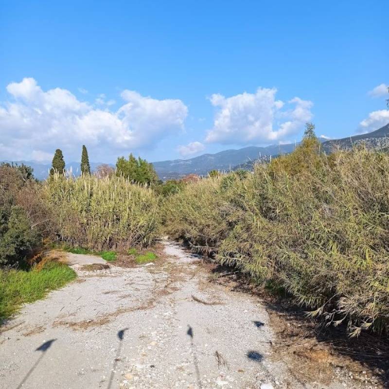 Τραυματικές μνήμες από τα… καλαμένια χρόνια