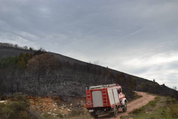 Κάηκαν 15 στρέμματα στην Καζάρμα