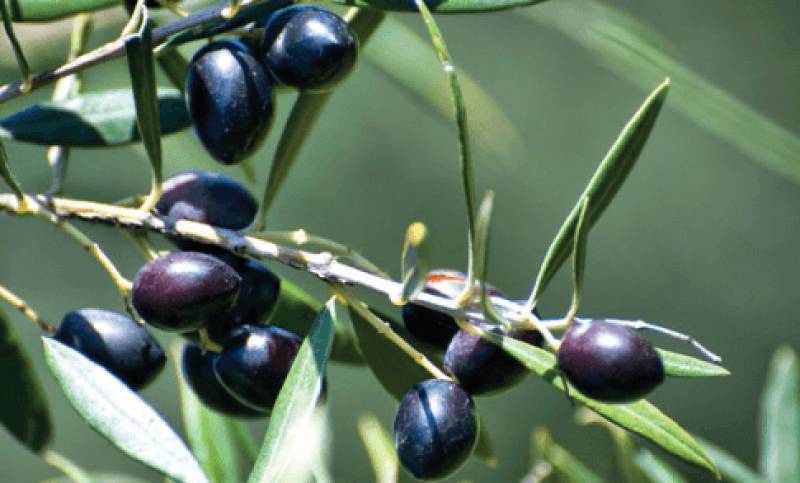 Η εθνική πολιτική θα φανεί στην τσέπη