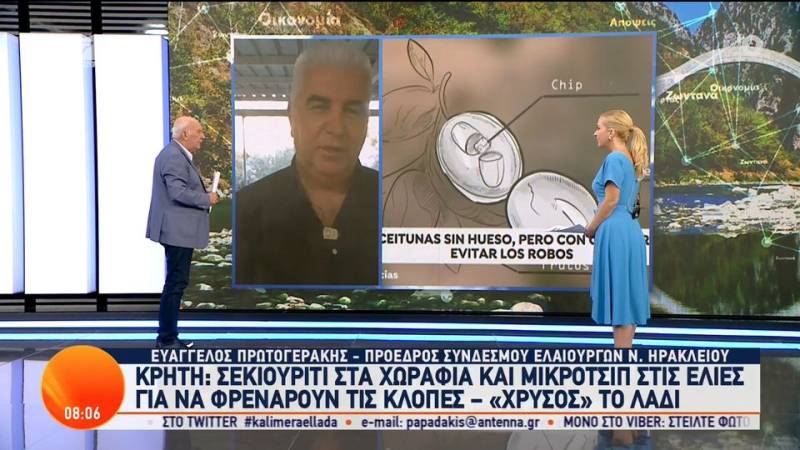 Ελαιοπαραγωγοί τοποθετούν μικροτσίπ στις ελιές για να προστατευτούν από τις κλοπές