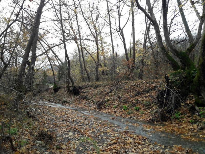 Η επιτάχυνση της... μακαριότητας