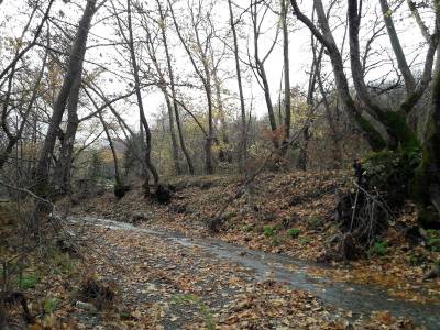 Η επιτάχυνση της... μακαριότητας