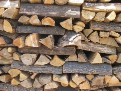 Δημοπρασία για καυσόξυλα στην Καλαμάτα