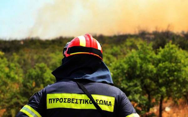 Πυρκαγία στο Ανυδρο Τριφυλίας