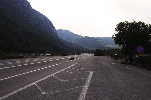 Στο Πρόγραμμα Δημοσίων Επενδύσεων και σε… 8 κομμάτια το Πάτρα - Πύργος