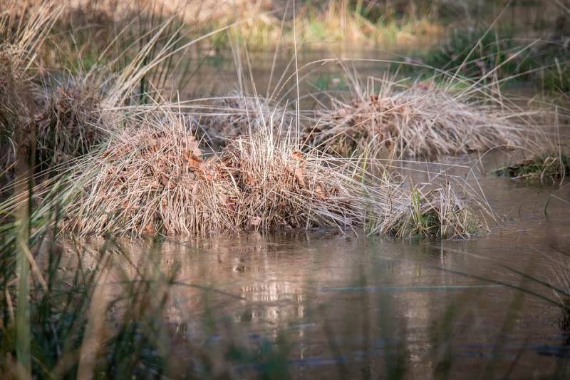 Η Πελοπόννησος στον βάλτο της φτώχειας