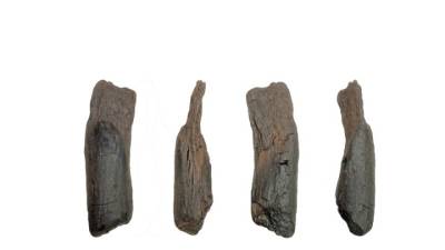 Στη Μεγαλόπολη τα αρχαιότερα γνωστά ξύλινα εργαλεία παγκοσμίως