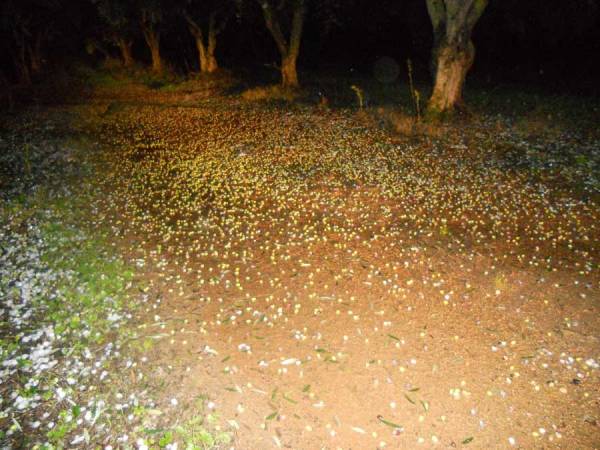 Χαλάζι στην Τριφυλία, ανεμοθύελλα στη Μάνη