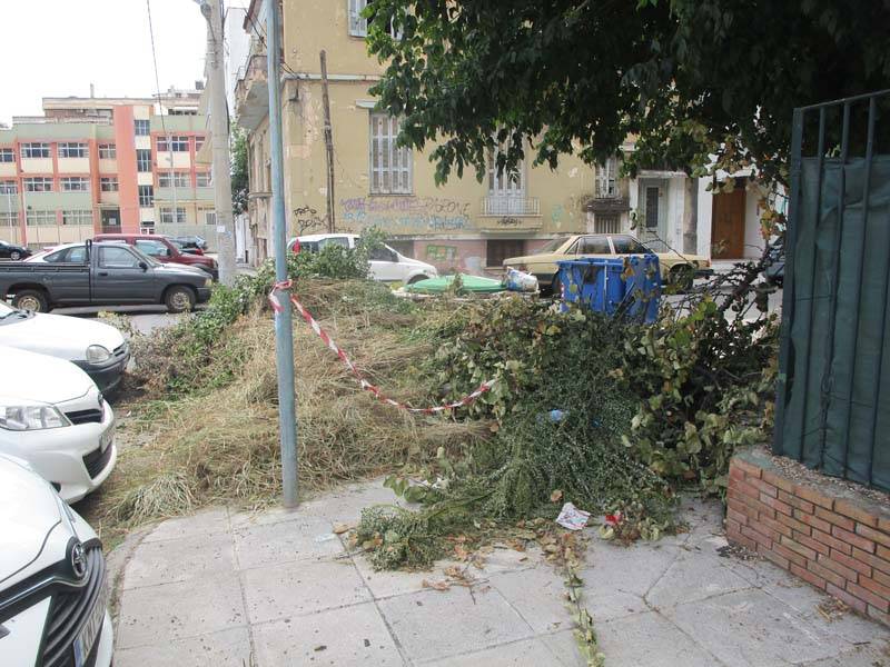 Βουνό τα κλαδέματα