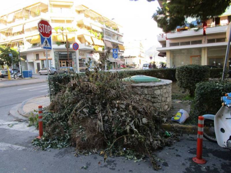 Μεσσηνία: Πρόταση από "Βιώσιμη Πόλη" για αξιοποίηση κλαδεμάτων (βίντεο)