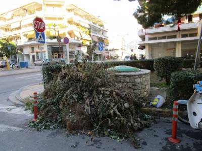 Μεσσηνία: Πρόταση από "Βιώσιμη Πόλη" για αξιοποίηση κλαδεμάτων (βίντεο)