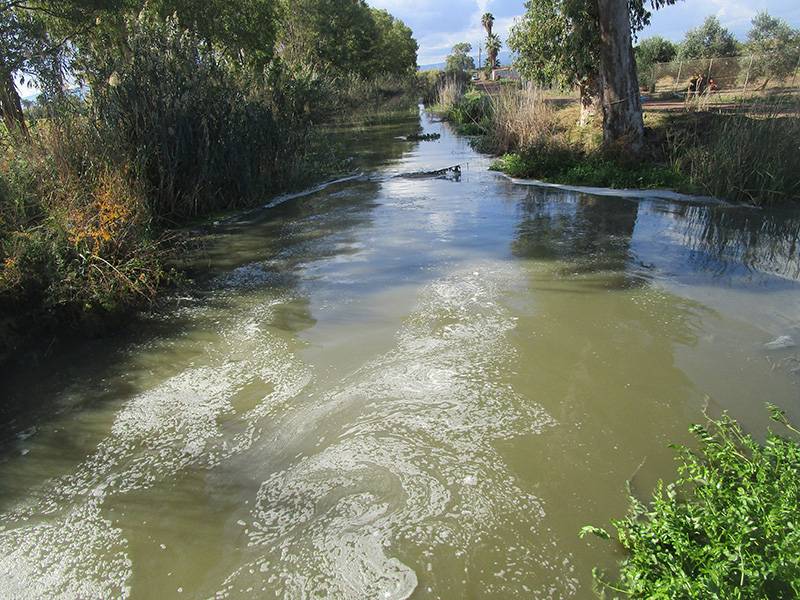Καλαμάτα: Ερώτηση Βελόπουλου για χάνδακα Μουτελάκη