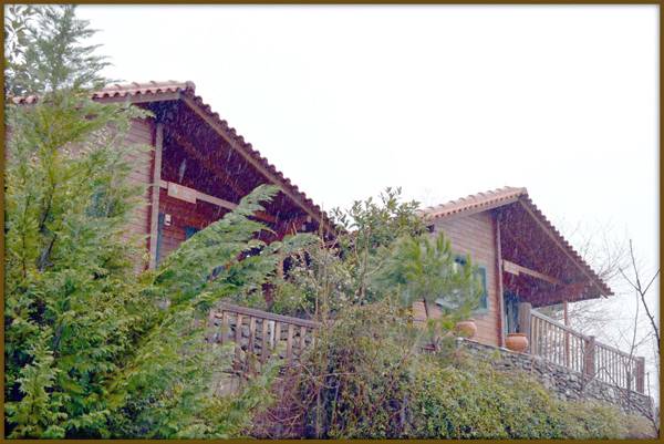 20 παιδιά από τα Χωριά SOS στα "ξύλινα" της Αλαγονίας