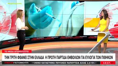 Ευλογιά των πιθήκων: Την Τρίτη φτάνουν στην Ελλάδα τα εμβόλια (Βίντεο)