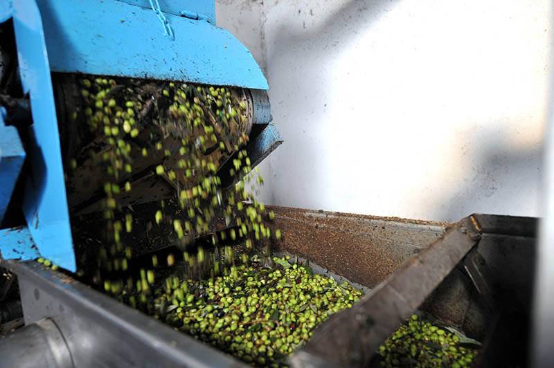 Καλαμάτα: Στις 14 Απριλίου αποτελέσματα στο διαγωνισμό ποιότητας παρθένου ελαιολάδου