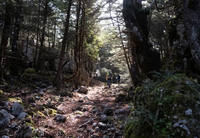 Πεζοπορία του Ορειβατικού Συλλόγου Καλαμάτας στο Καλάθι