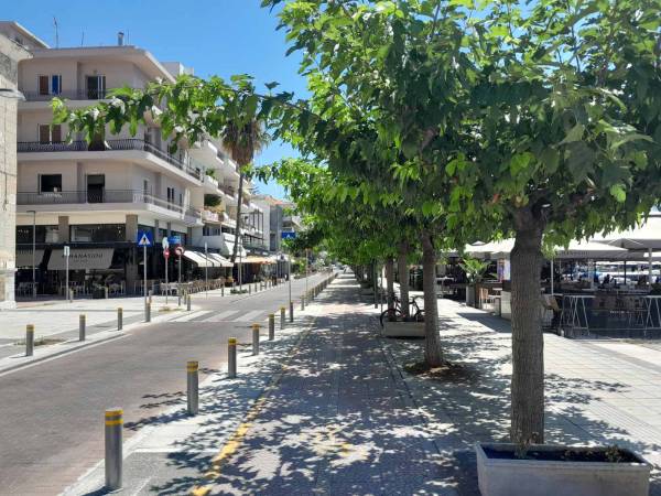 Πότε θα μπουν τα δέντρα;