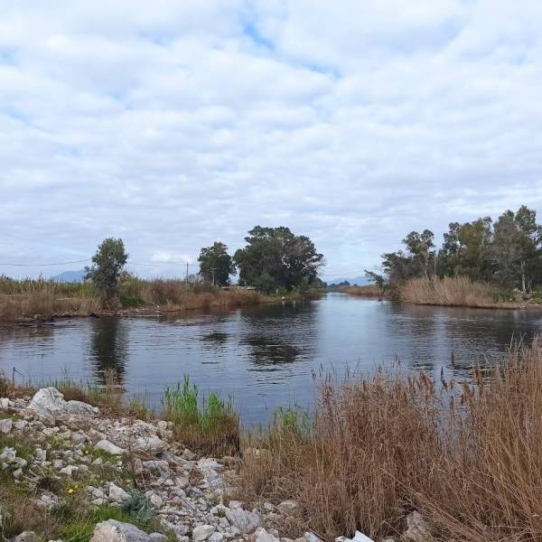Ο φαύλος κύκλος της στασιμότητας