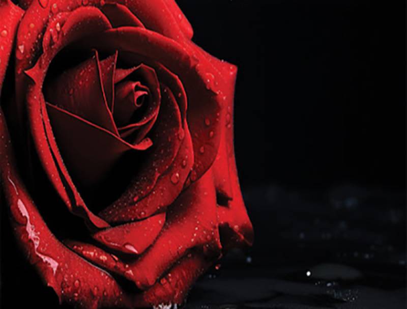 "Λόγια που σου χρωστάω..." της Ελένης Ζερβοπούλου