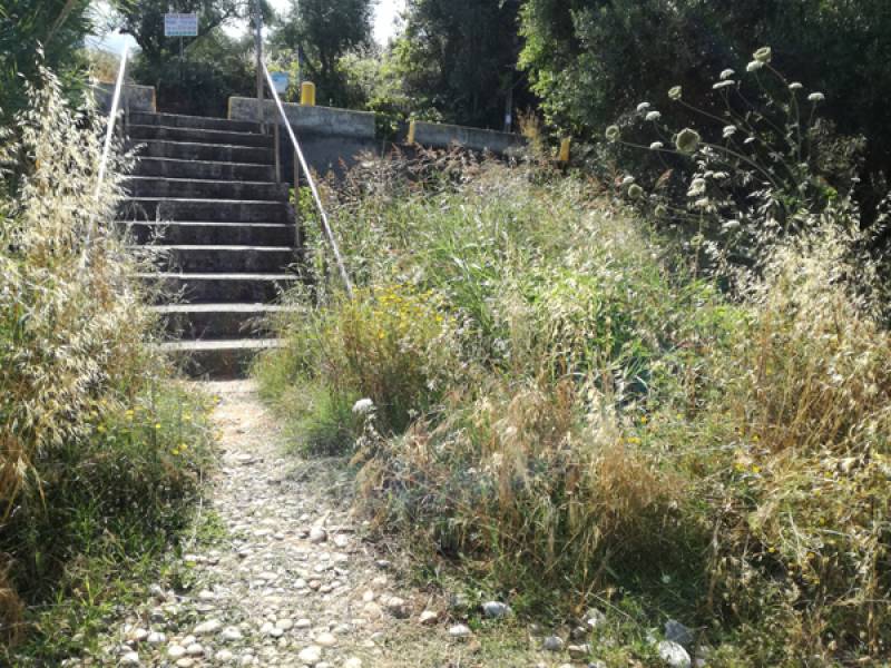 Ζούγκλα προς την παραλία