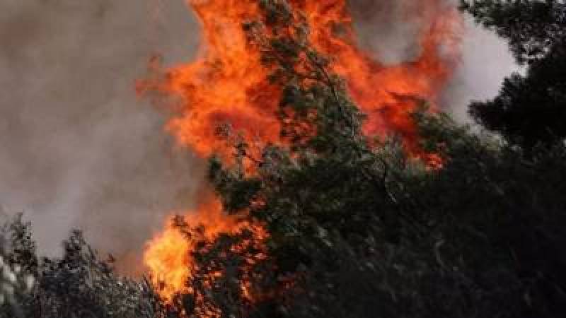 Πάνω από 10.000 ευρώ πρόστιμο για τη φωτιά στο Λευκόχωμα Σπάρτης