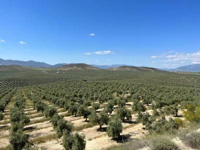 Η μόνη ελπίδα τα τεχνολογικά μέσα