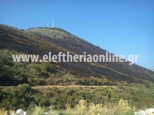 Κατασβέστηκε η πυρκαγιά στον Αετό Μεσσηνίας