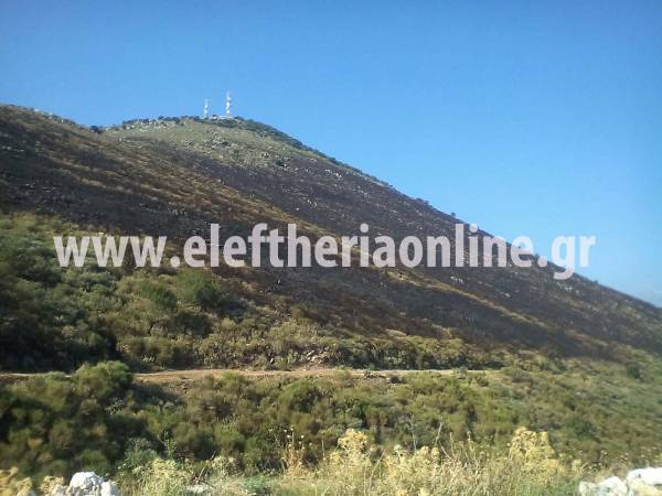 Κατασβέστηκε η πυρκαγιά στον Αετό Μεσσηνίας