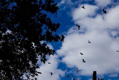 Καιρός: Αραιές νεφώσεις και θερμοκρασία έως 17 βαθμούς Κελσίου το Σάββατο