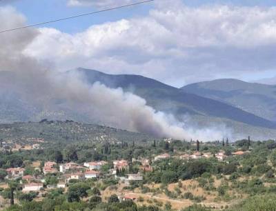 65 στρέμματα έκαψε η φωτιά στο Κοπανάκι
