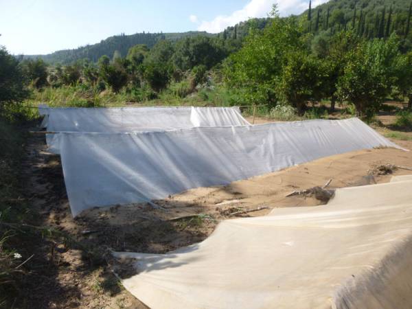 Θάφτηκαν τα αλώνια