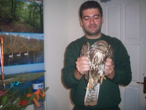 Απολογισμός περίθαλψης τραυματισμένων ζώων στην Προστατευόμενη Περιοχή του Πάρνωνα (φωτογραφίες)