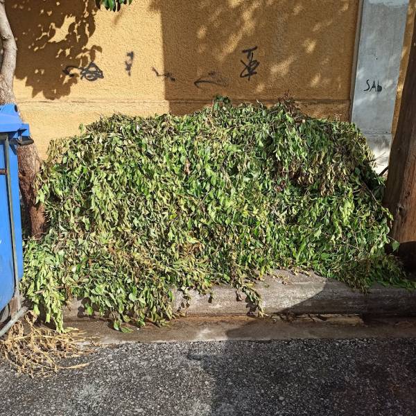 Αποτυχημένη μέθοδος